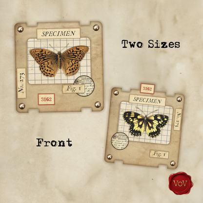 🦋 Printable Specimen Slide Kit | A4 Size (READY TO USE)