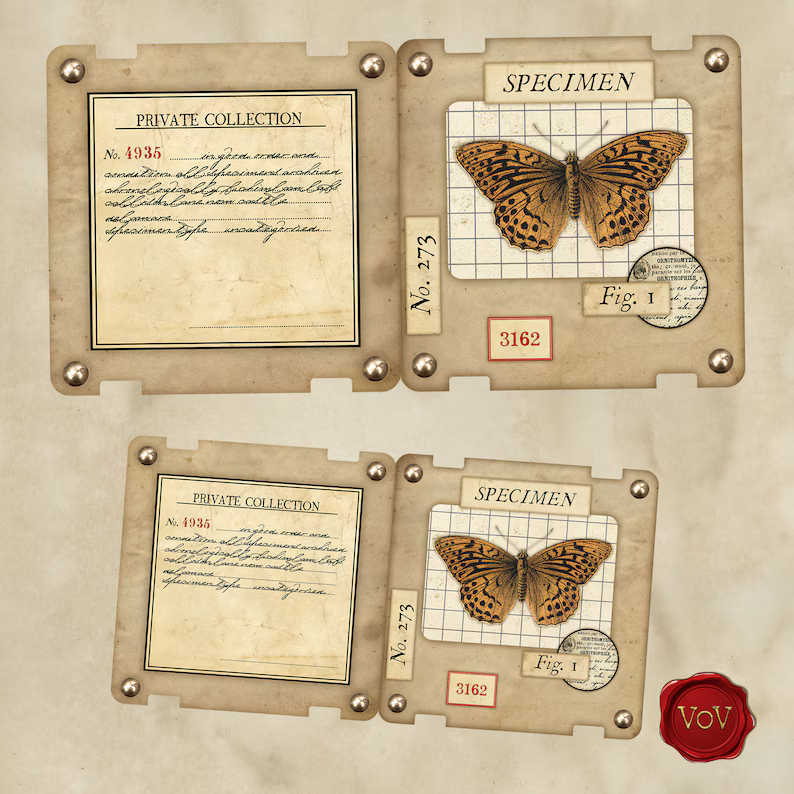 🦋 Printable Specimen Slide Kit | A4 Size (READY TO USE)