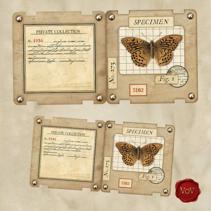 🦋 Printable Specimen Slide Kit | A4 Size (READY TO USE)